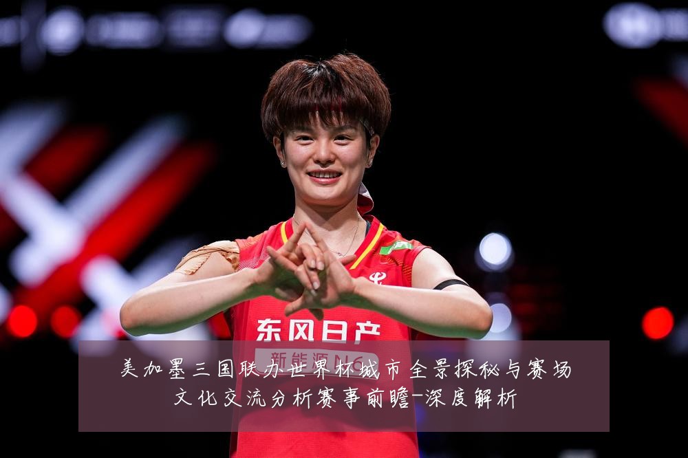 美加墨三国联办世界杯城市全景探秘与赛场文化交流分析赛事前瞻-深度解析